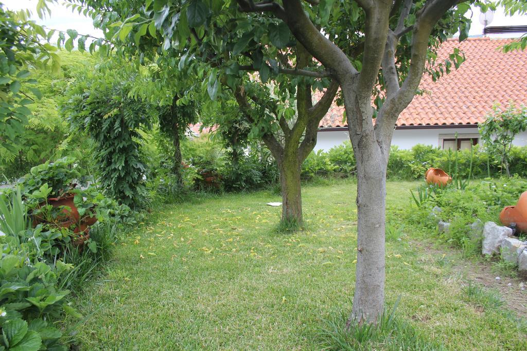 Casa De Tapadeiro Villa Resende Eksteriør billede