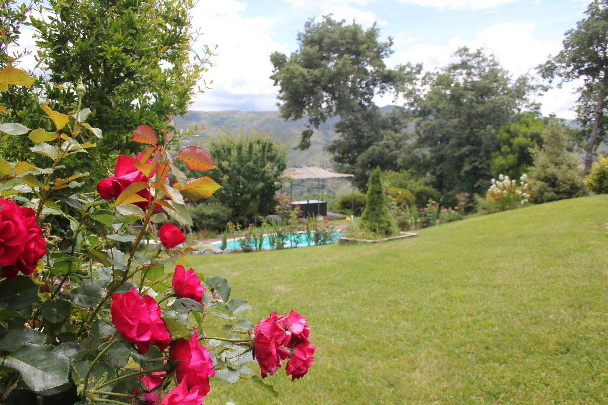 Casa De Tapadeiro Villa Resende Eksteriør billede